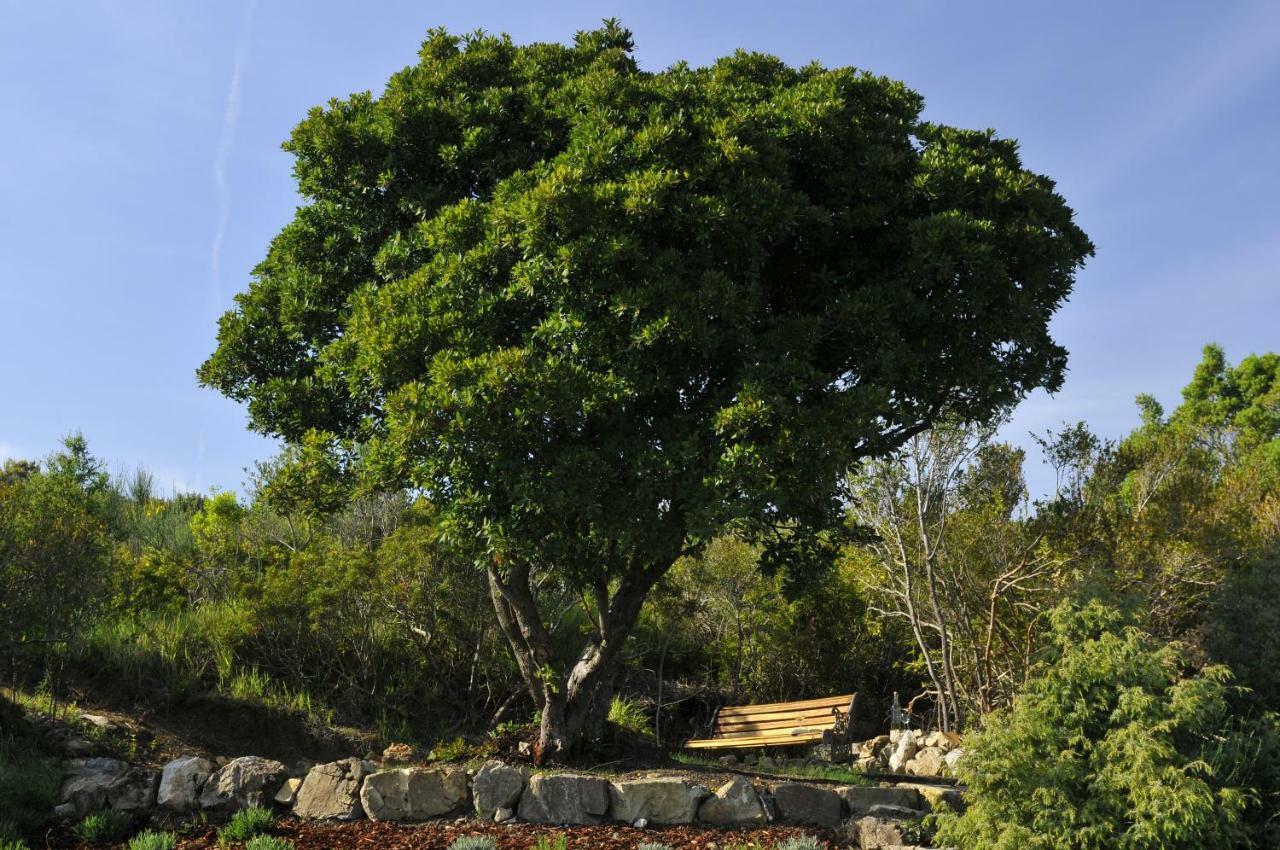 Serra Destri Daire Riparbella Dış mekan fotoğraf